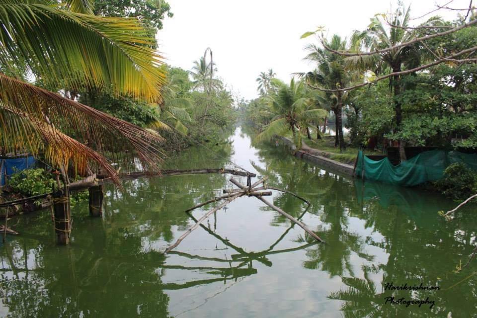 Marari Stella Vich Villa Homestay Turavūr Buitenkant foto