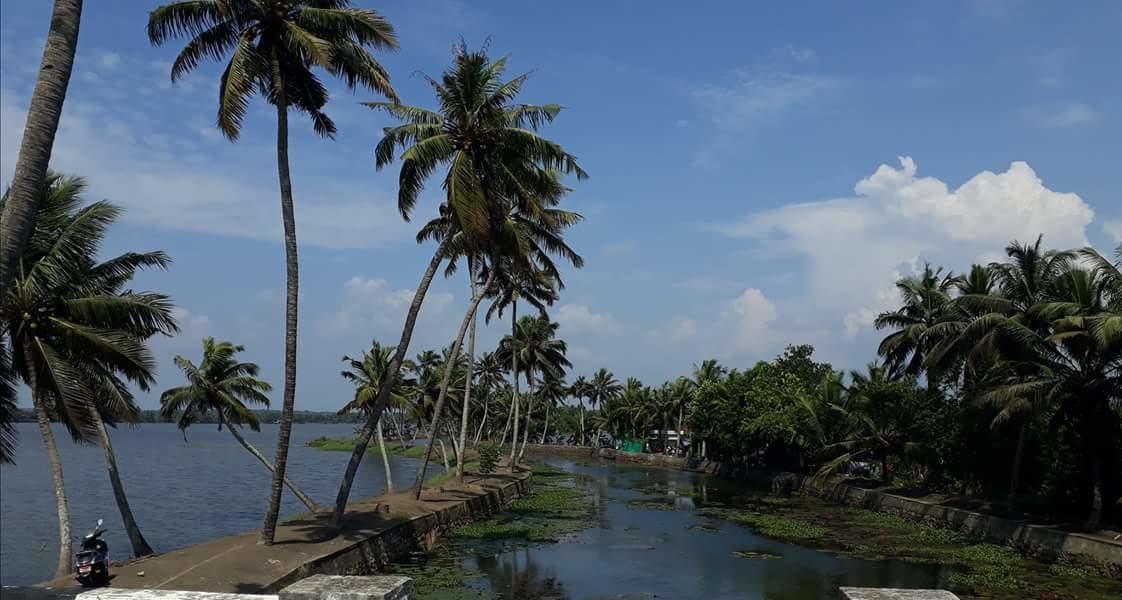 Marari Stella Vich Villa Homestay Turavūr Buitenkant foto