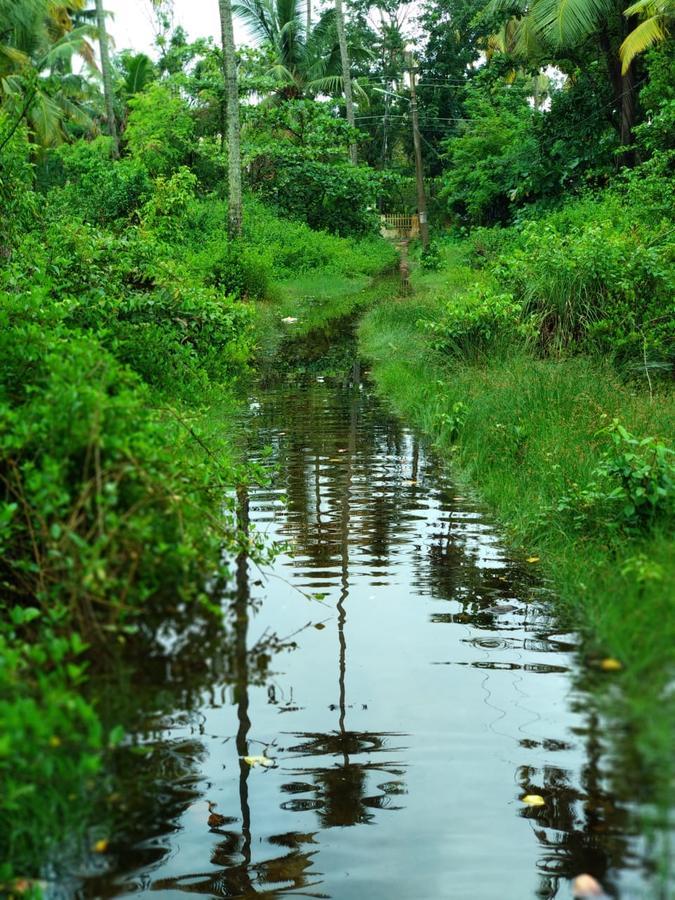 Marari Stella Vich Villa Homestay Turavūr Buitenkant foto