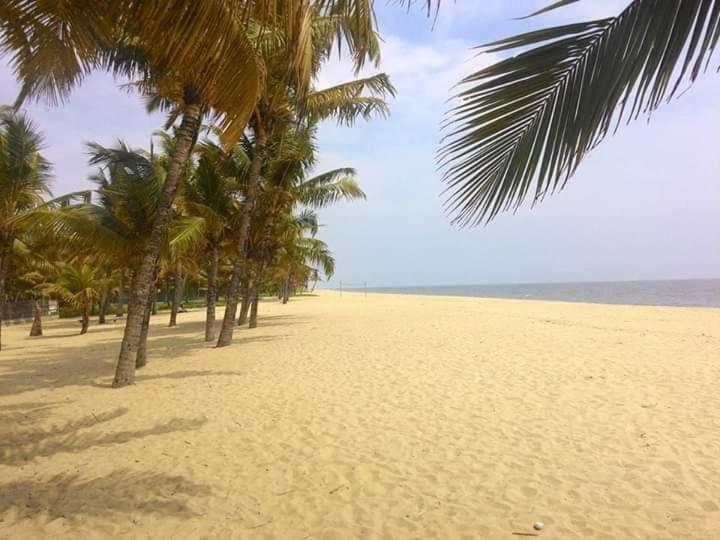 Marari Stella Vich Villa Homestay Turavūr Buitenkant foto